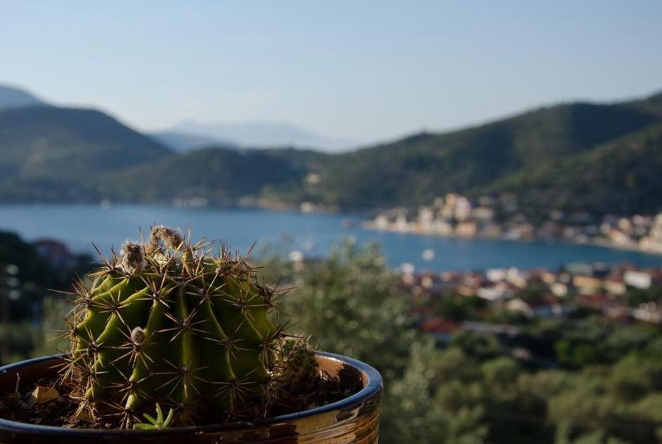 Apartmán Euktimeno Ithaka Exteriér fotografie